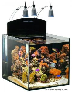 aquarium nano rÃ©cifal